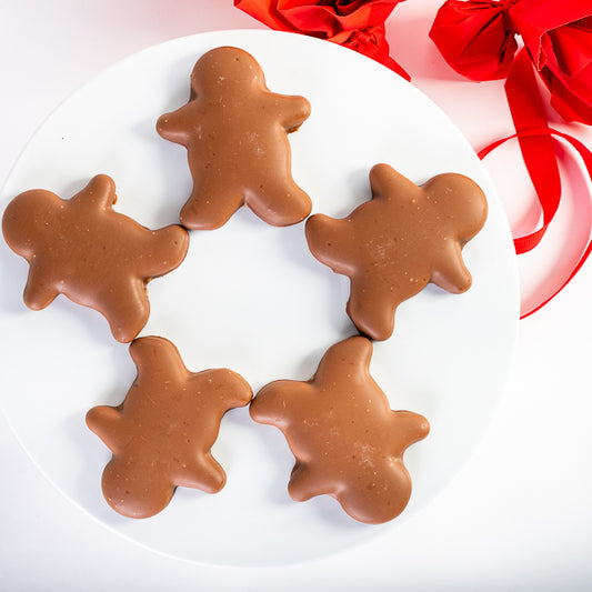 chocolate covered gingerbread