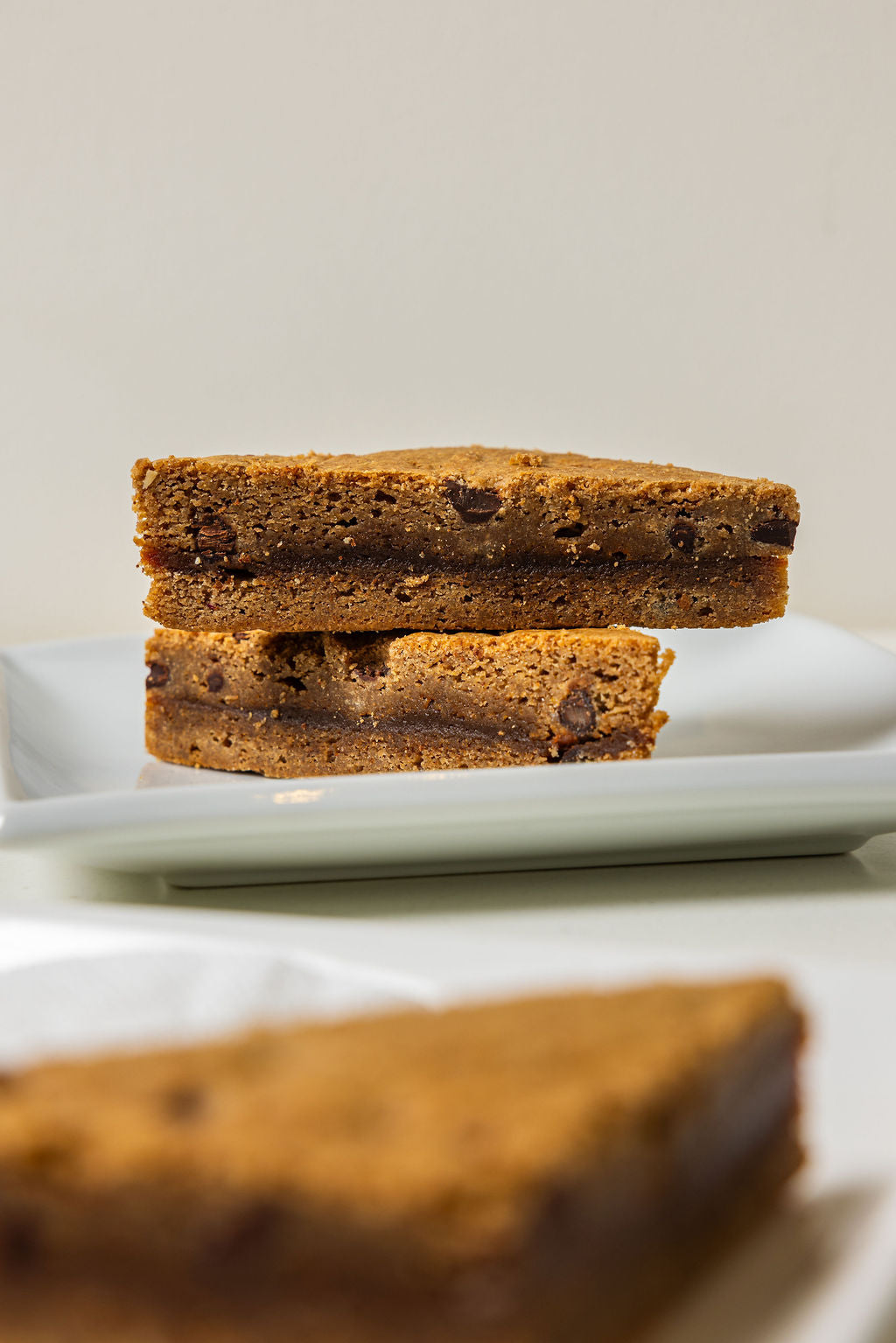 Snickerdoodle brownie